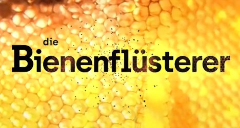 Die Bienenflüsterer – Bild: arte/Grand Angle Productions
