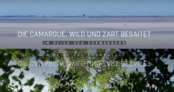 Die Camargue, wild und zart besaitet – Bild: arte/Gedeon Programmes Die Camargue, wild und zart besaitet – Bild: arte/Gedeon Programmes