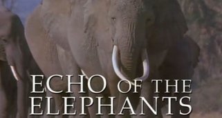 Die Dynastie der Elefanten