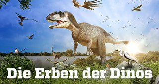 Die Erben der Dinos Die Erben der Dinos