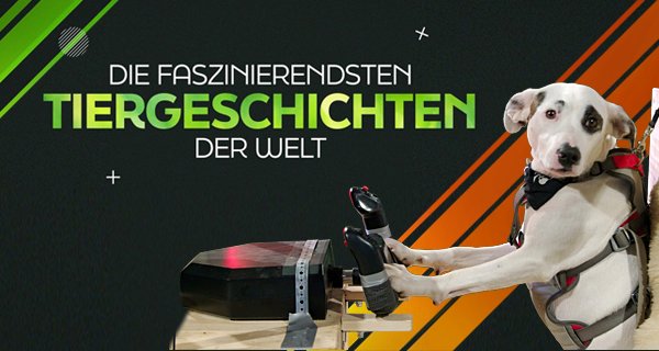 Die faszinierendsten Tiergeschichten der Welt – Bild: TVNOW Die faszinierendsten Tiergeschichten der Welt – Bild: TVNOW