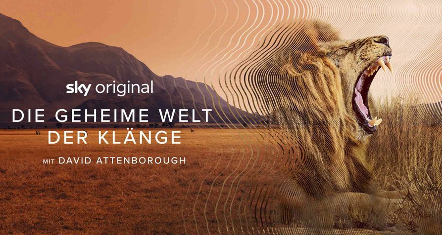 Die geheime Welt der Klänge mit David Attenborough – Bild: Humble Bee Films / Infield Fly Productions