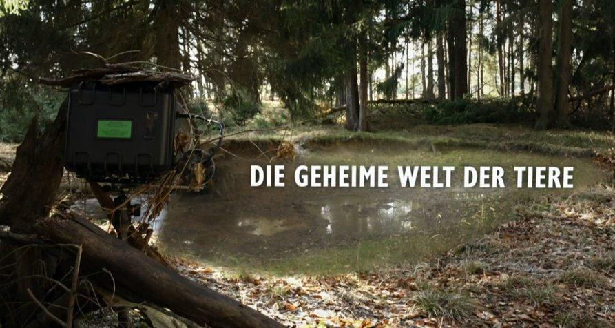 Die geheime Welt der Tiere – Bild: Dr. Axel Gebauer/Doclights/NDR Naturfilm
