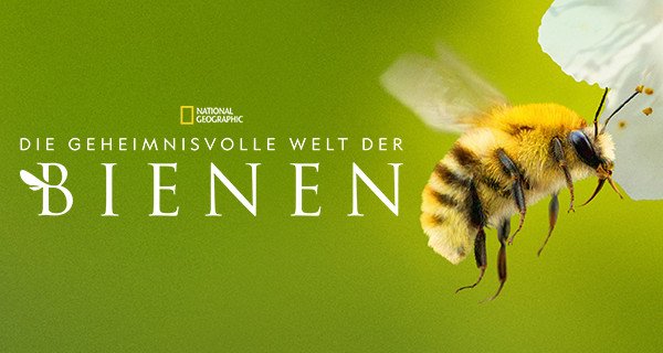 Die geheimnisvolle Welt der Bienen – Bild: National Geographic Die geheimnisvolle Welt der Bienen – Bild: National Geographic