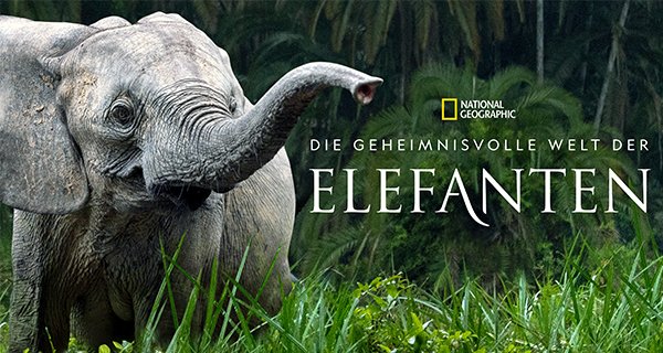 Die geheimnisvolle Welt der Elefanten – Bild: National Geographic Die geheimnisvolle Welt der Elefanten – Bild: National Geographic