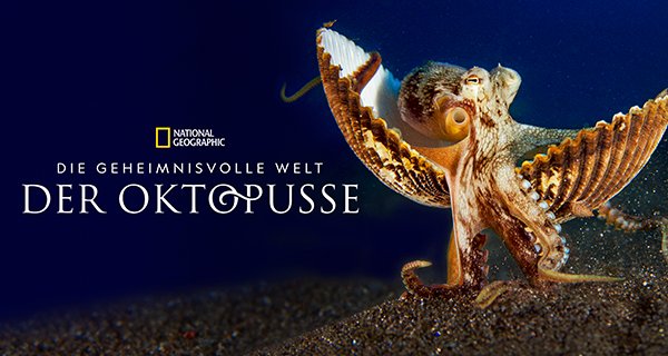 Die geheimnisvolle Welt der Oktopusse – Bild: National Geographic Die geheimnisvolle Welt der Oktopusse – Bild: National Geographic