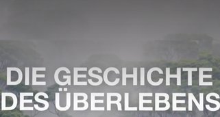 Die Geschichte des Überlebens