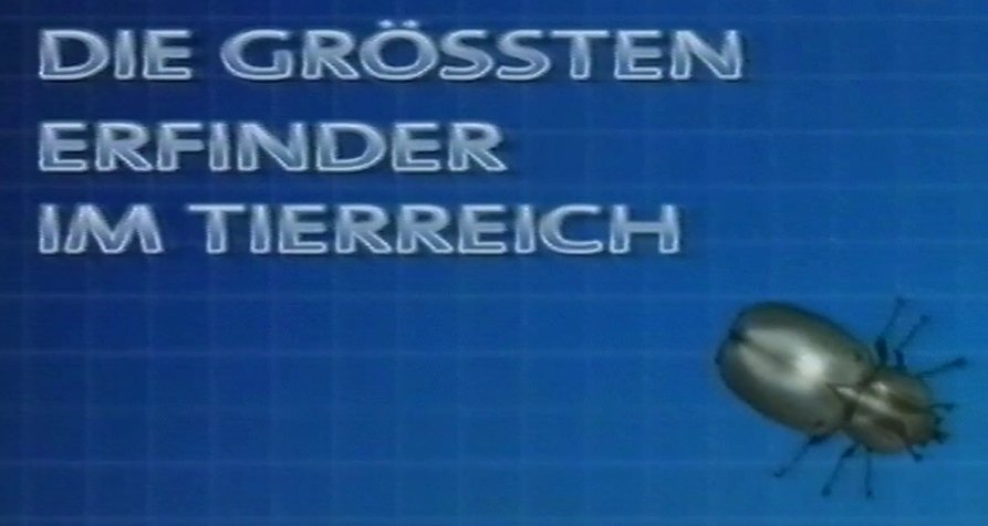 Die größten Erfinder im Tierreich – Bild: NDR Die größten Erfinder im Tierreich – Bild: NDR