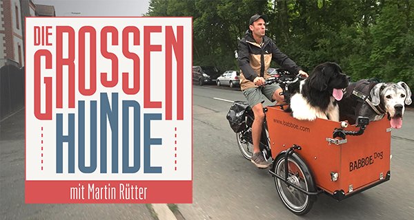 Die großen Hunde – Bild: TVNOW Die großen Hunde – Bild: TVNOW