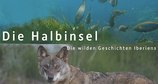 Die Halbinsel - Die wilden Geschichten Iberiens – Bild: TATU Films/Bamboo Studios 2022 Die Halbinsel - Die wilden Geschichten Iberiens – Bild: TATU Films/Bamboo Studios 2022