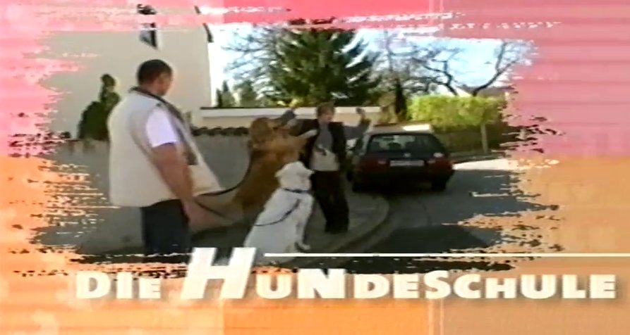 Die Hundeschule – Bild: Lichtblick Film / arte / BR // Screenshot Die Hundeschule – Bild: Lichtblick Film / arte / BR // Screenshot