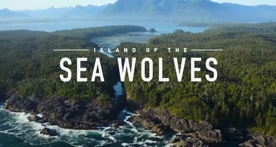 Die Insel der Küstenwölfe – Bild: Netflix/Screenshot