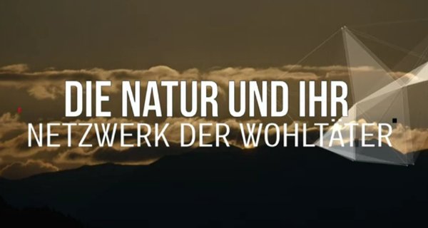 Die Natur und ihr Netzwerk der Wohltäter – Bild: arte/Antipode