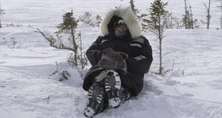 Die Reise der Eisbären