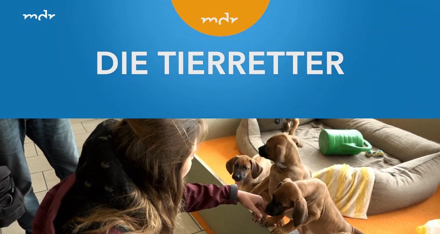 Die Tierretter – Bild: MDR