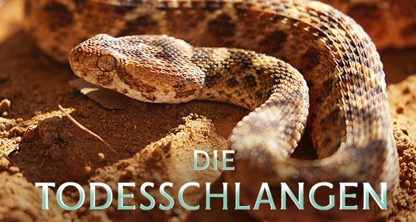 Die Todesschlangen – Bild: National Geographic