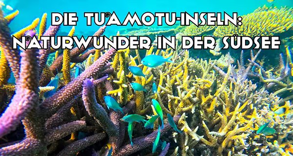 Die Tuamotu-Inseln: Naturwunder in der Südsee – Bild: Ampersand Die Tuamotu-Inseln: Naturwunder in der Südsee – Bild: Ampersand