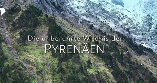 Die unberührte Wildnis der Pyrenäen – Bild: arte/Bellota Films Die unberührte Wildnis der Pyrenäen – Bild: arte/Bellota Films
