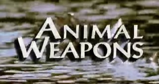 Die Waffen der Tiere