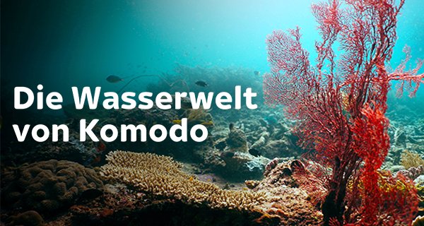 Die Wasserwelt von Komodo – Bild: Off the Fence B.V. Die Wasserwelt von Komodo – Bild: Off the Fence B.V.