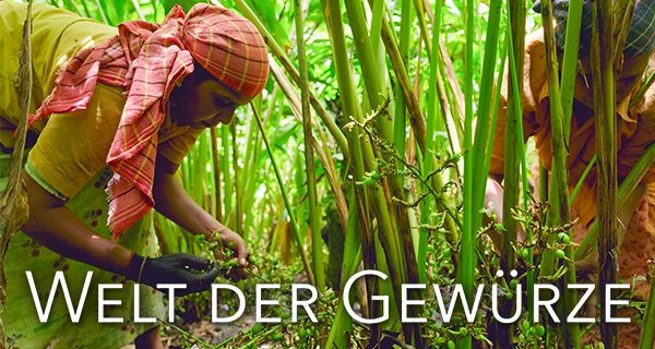 Die Welt der Gewürze – Bild: ZDF/Peter Moers Die Welt der Gewürze – Bild: ZDF/Peter Moers
