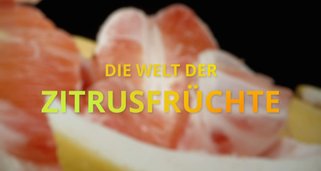 Die Welt der Zitrusfrüchte