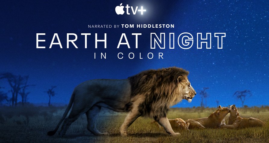 Die Welt in den Farben der Nacht – Bild: Offspring Films