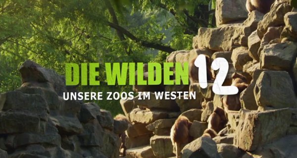 Die wilden 12 – Bild: WDR Die wilden 12 – Bild: WDR