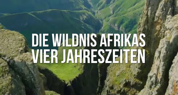 Die Wildnis Afrikas: Vier Jahreszeiten – Bild: Blue Ant Media/Wild Nature/arte Die Wildnis Afrikas: Vier Jahreszeiten – Bild: Blue Ant Media/Wild Nature/arte