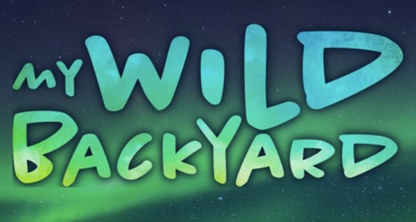 Die Wildnis vor der Haustür – Bild: CuriosityStream Die Wildnis vor der Haustür – Bild: CuriosityStream