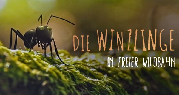 Die Winzlinge in freier Wildbahn – Bild: arte/Flair Production/Patrick Wack Die Winzlinge in freier Wildbahn – Bild: arte/Flair Production/Patrick Wack