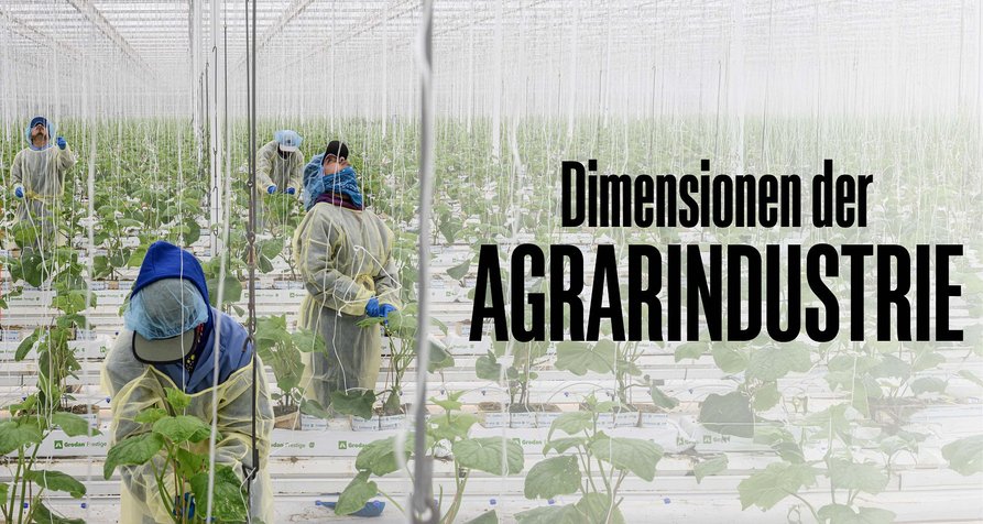 Dimensionen der Agrarindustrie – Bild: Kadir van Lohuizen/NOOR