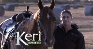 Dr. Keri: Die Prärie-Tierärztin