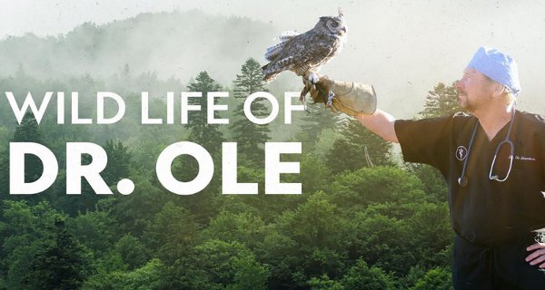 Dr. Ole: Tierarzt im Einsatz – Bild: National Geographic