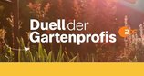 Duell der Gartenprofis – Bild: ZDF/Vielfein