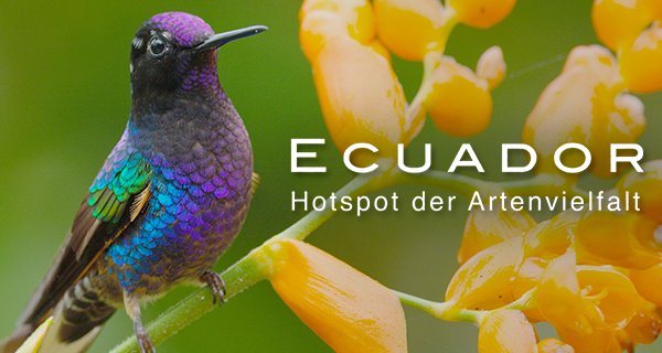 Ecuador, Hotspot der Artenvielfalt – Bild: Songes de Moaï