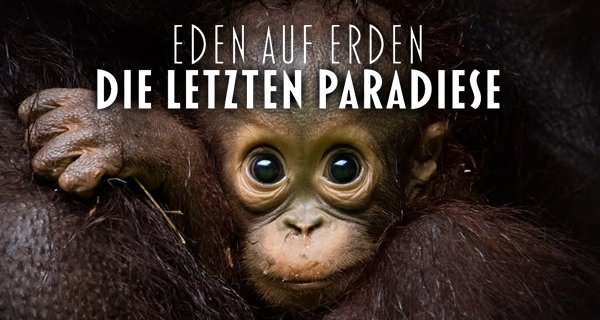 Eden auf Erden – Bild: BBC Studios Eden auf Erden – Bild: BBC Studios