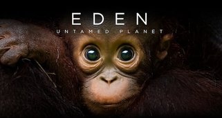 Eden auf Erden
