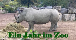 Ein Jahr im Zoo