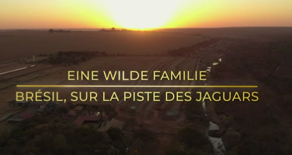 Eine wilde Familie – Bild: arte/ZDF/Gebrüder Beetz Filmproduktion/Grifa Filmes Eine wilde Familie – Bild: arte/ZDF/Gebrüder Beetz Filmproduktion/Grifa Filmes