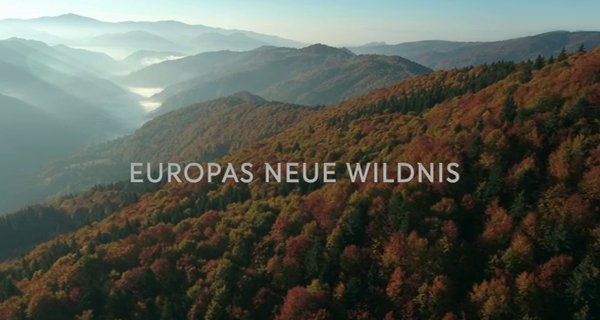 Europas neue Wildnis – Bild: Servus TV