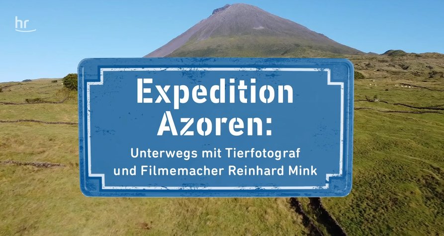 Expedition Azoren – Bild: hr-fernsehen (Screenshot) Expedition Azoren – Bild: hr-fernsehen (Screenshot)