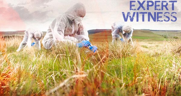 Expert Witness – Bild: BBC/Rare-TV Expert Witness – Bild: BBC/Rare-TV