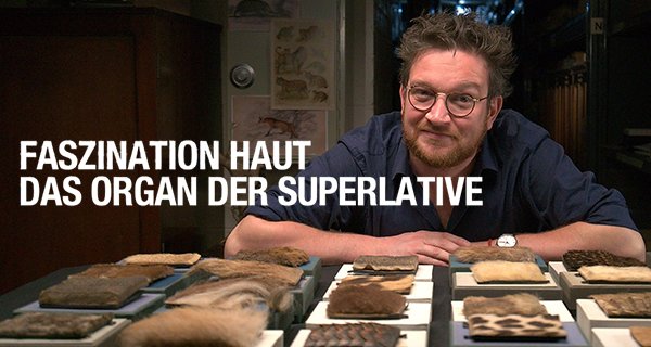 Faszination Haut – Bild: BBC Faszination Haut – Bild: BBC