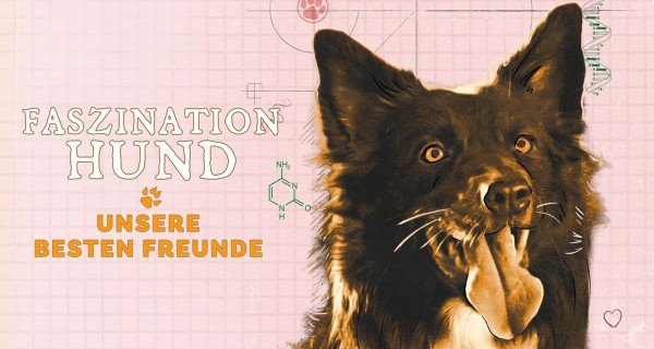 Faszination Hund – Unsere besten Freunde – Bild: GEO Television