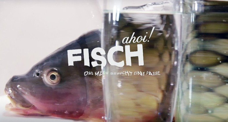 Fisch ahoi! Das Meer braucht eine Pause – Bild: ORF Fisch ahoi! Das Meer braucht eine Pause – Bild: ORF
