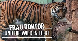 Frau Doktor und die wilden Tiere Frau Doktor und die wilden Tiere