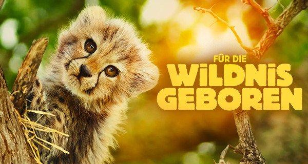 Für die Wildnis geboren – Bild: Apple TV Für die Wildnis geboren – Bild: Apple TV