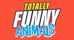 Funny Animals - Die Clipshow – Bild: Fishbowl Worldwide Media Funny Animals - Die Clipshow – Bild: Fishbowl Worldwide Media