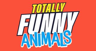 Funny Animals – Die Clipshow